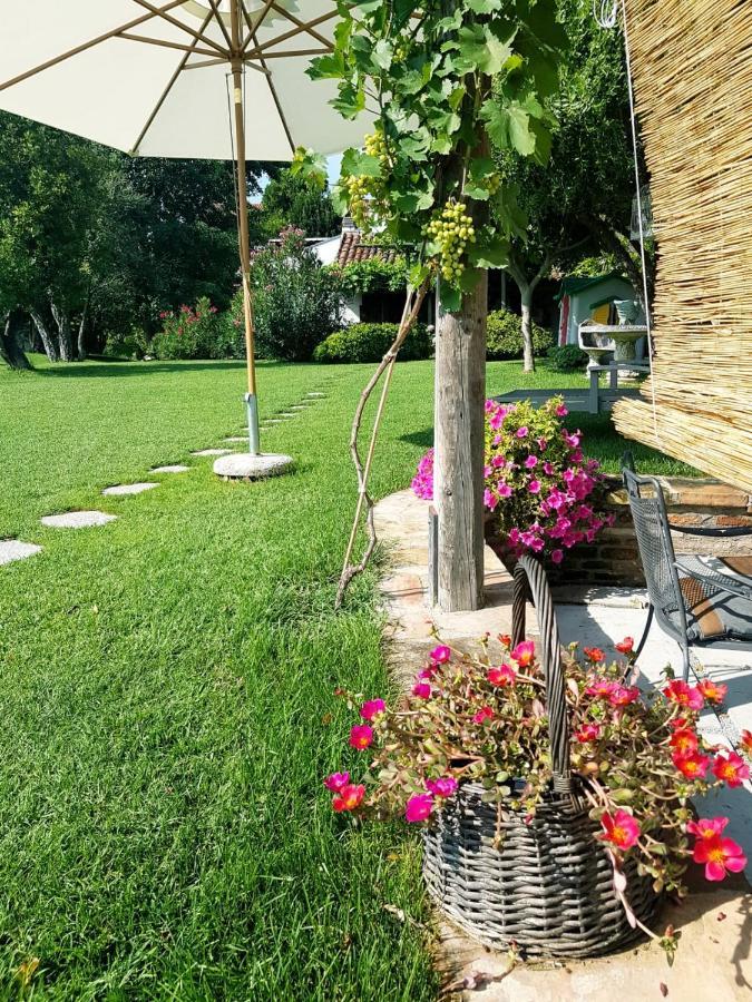La Pergola B&B Cesena Exterior foto